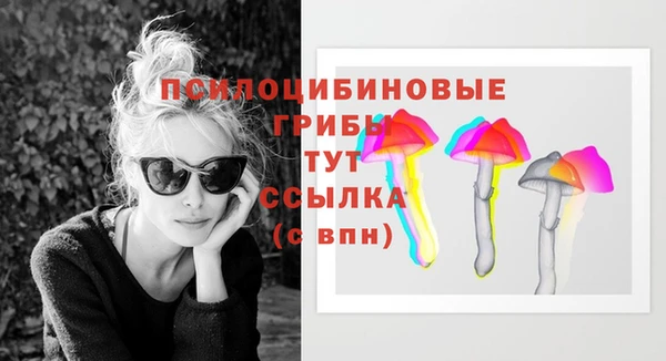 соль курить ск Аркадак