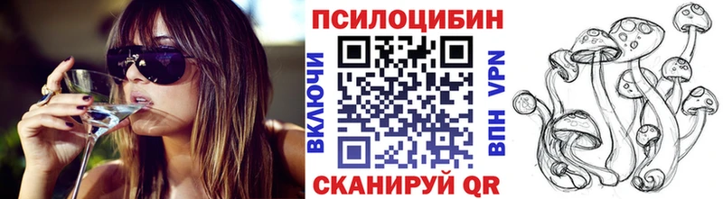 где купить наркоту Великий Устюг Псилоцибиновые грибы Psilocybe