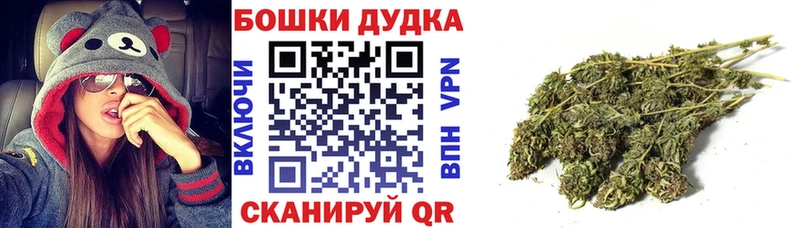 Бошки Шишки планчик цены Великий Устюг